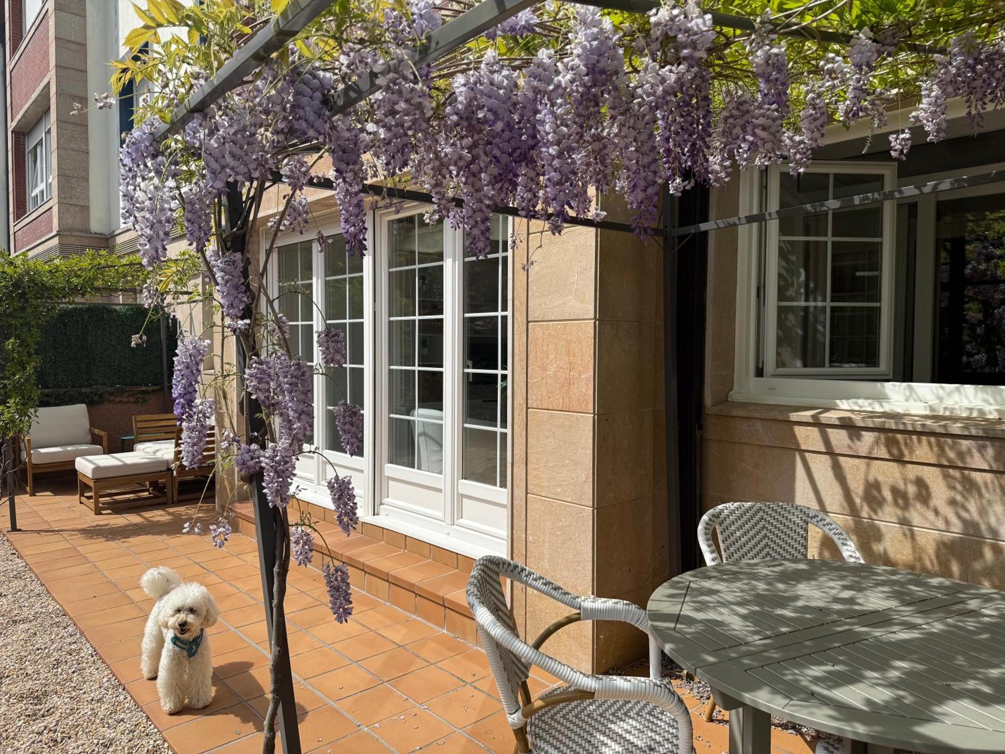 Bakea Apto Con Jardin Privado Bakio Exterior photo